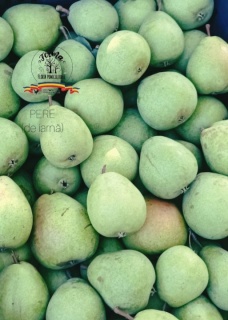 PERE (DE IARNĂ) 1 KG