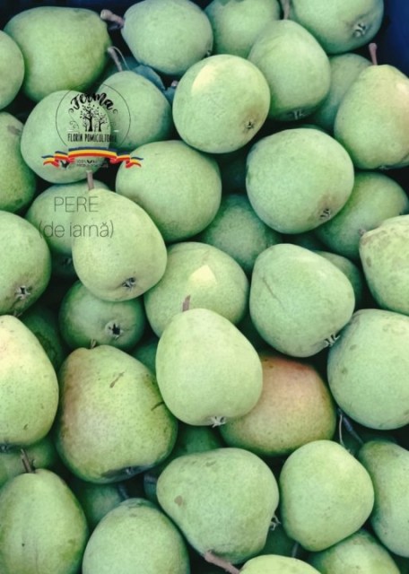 PERE (DE IARNĂ) 1 KG