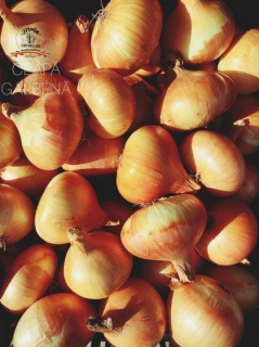 CEAPĂ GALBENĂ 1 KG