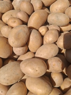 CARTOFI ALBI 1 KG