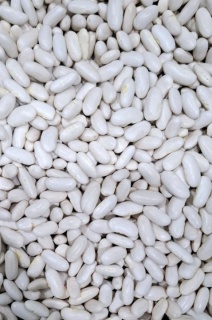 FASOLE BOABE ALBĂ 1 KG