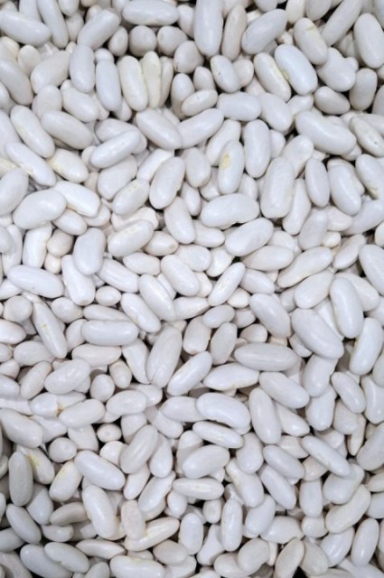 FASOLE BOABE ALBĂ 1 KG