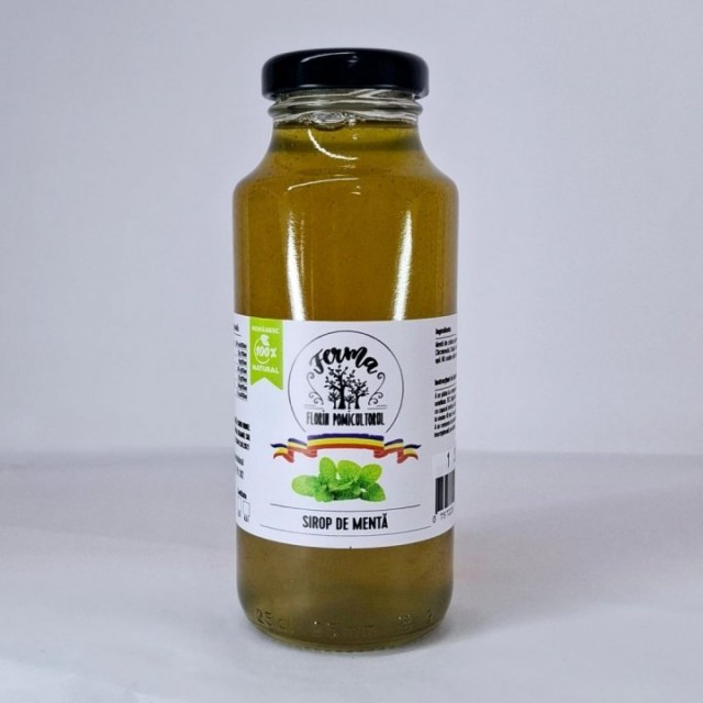 SIROP DE MENTA 250 ML
