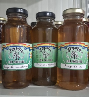 30 STICLE SIROP DIN PLANTE LA ALEGERE 250 ML