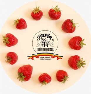 STOLONI CĂPȘUNI PREMIAL - LA FIR_5