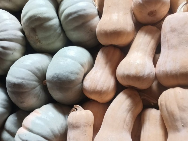 DOVLEAC PLACINTAR 1 KG