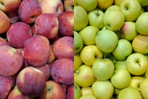 MERE AMESTEC FLORINA CU GOLDEN 30 KG 