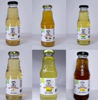 15 SIROPURI 330 ML DIN PLANTE LA LAEGERE 