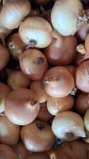 CEAPA GALBENĂ 25 KG